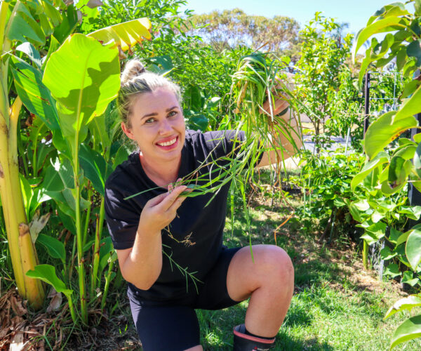 How to Stop Grass Growing in Garden Beds — The Natural Way