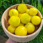 boost your homegrown food security.