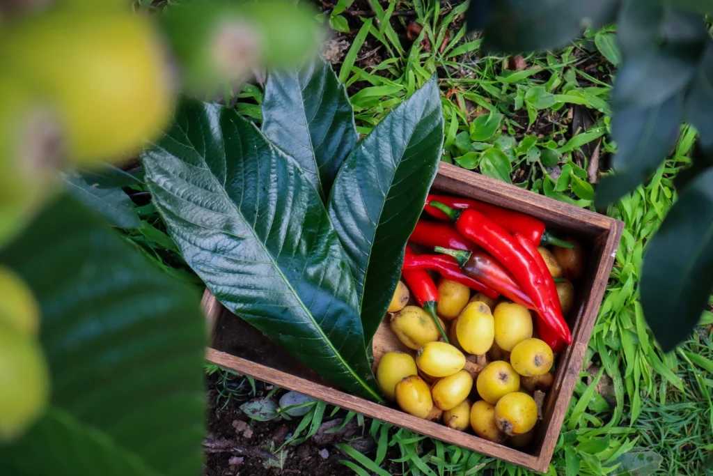 fast-growing fruit trees