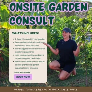 Onsite Edible Garden Consultation (Perth)
