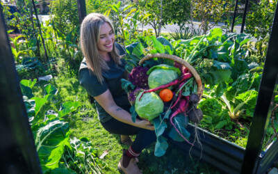 15 Best Vegetables to Plant in Autumn For Perth Gardens + Growing Tips