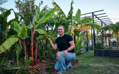 Dwarf vs Standard Fruit Trees: What You Need to Know for Small Gardens