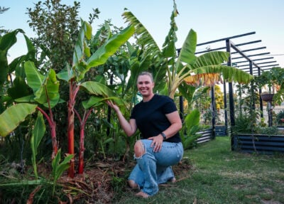 Dwarf vs Standard Fruit Trees: What You Need to Know for Small Gardens