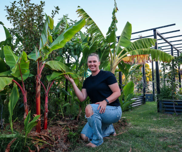 Dwarf vs Standard Fruit Trees: What You Need to Know for Small Gardens