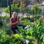diy garden trellis in raised garden beds