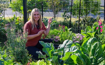 How To Make a Quick and Easy DIY Garden Trellis to Grow More Food Vertically