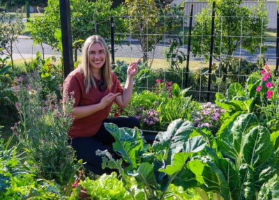 How To Make a Quick and Easy DIY Garden Trellis to Grow More Food Vertically