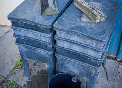 How to Care for a Worm Farm in Winter (and Keep Producing Free Fertiliser)