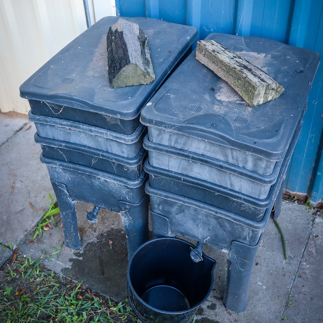 worm farm in winter