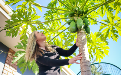 How to Shade Fruit Trees in Summer With Plants (5 Living Shade Plants)